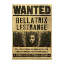 Pôster Harry Potter – Decoração Mágica