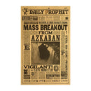 Pôster Harry Potter – Decoração Mágica