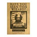 Pôster Harry Potter – Decoração Mágica