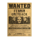 Pôster Harry Potter – Decoração Mágica