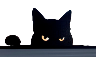 Decoração Gato Bravo Nervoso – Janela, Parede, Banheiro e Qualquer Lugar Que Precise de Atitude!