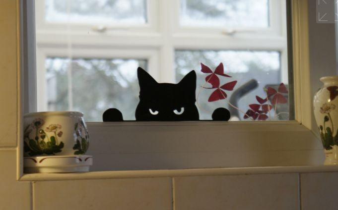Decoração Gato Bravo Nervoso – Janela, Parede, Banheiro e Qualquer Lugar Que Precise de Atitude!